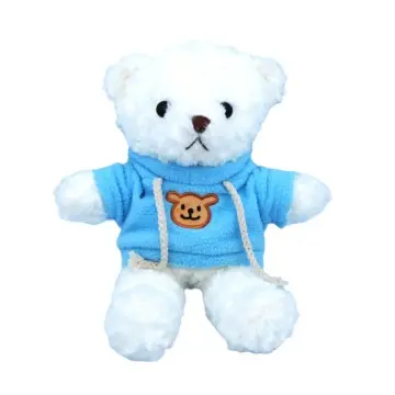 Custom Hoodie Teddy Bear Plush Toys | OEM/ODM Stuffed Animal Dolls with Brand Logo for Couples & Events