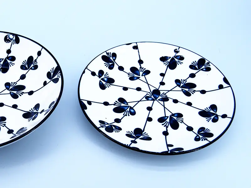 ceramic plates and bowls set