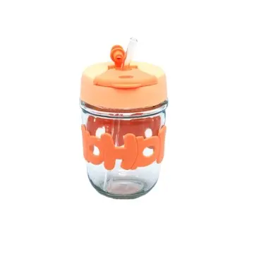 Portable Clear Glass Water Bottle with Straw Cute INS Style Glass Cup for Travel  Everyday Use Wholesale Custom Drinkware