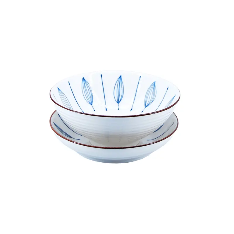 Ceramic Dinner Plates.jpg